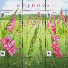 MOLDOVA 2016, Flora, WWF, serie neuzata, MNH