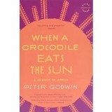 When a Crocodile Eats the Sun