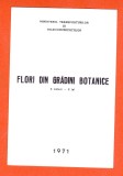 TSV - PLIANT DE PREZENTARE FLORI DIN GRADINI BOTANICE, 1971 LP 767