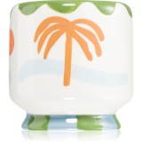 Paddywax A Dopo Palm Tree lum&acirc;nare parfumată 226 g