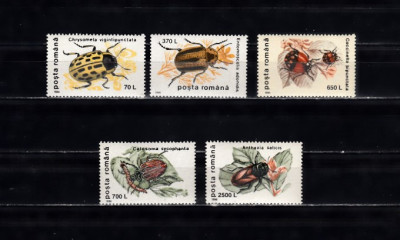 M1 TX9 6 - 1996 - Insecte II - uzuale foto
