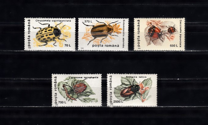 M1 TX9 6 - 1996 - Insecte II - uzuale