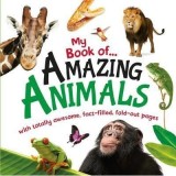 My Book Of Amazing Animals