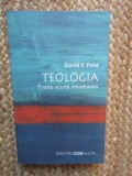Teologia : foarte scurta introducere / David F. Ford