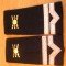 C2 24 - Grade militare - maistru militar transmisiuni - piesa de colectie!