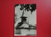 CARTE POSTALA - RPR - TECHIRGHIOL - BISERICA DE LEMN, Necirculata, Fotografie
