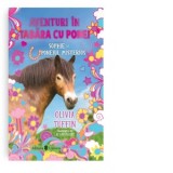 Aventuri in tabara cu ponei. Sophie si poneiul misterios - Olivia Tuffin