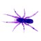 Năluca soft Perchik Tiny Spider 1.1&quot; 2.8cm 101
