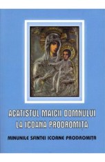 Acatistul Maicii Domnului la Icoana Prodromita