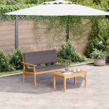 vidaXL Set de canapele pentru grădină cu pernă 2 pcs Antracit 4106583