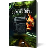 La umbra lui Don Quijote - Editura Ideea Europeană