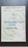 Termodinamică chimică. Lucrări practice - Rodica S&icirc;rbu, Viorica Popescu