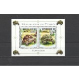 CHAD 2012 FAUNA TESTOASE