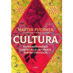 Cultura. Surpinzatoarele conexiuni si influente dintre civilizatii &ndash; Martin Puchner