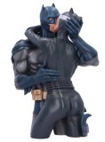 Batman &amp; Catwoman Bust 30cm