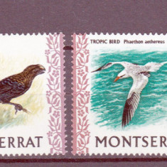 DB1 Fauna Pasari Montserrat 1970 4 v. MNH