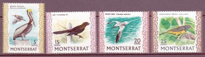 DB1 Fauna Pasari Montserrat 1970 4 v. MNH foto
