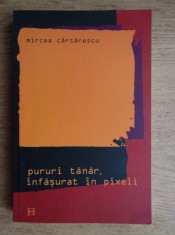 Mircea Cartarescu - Pururi tanar, infasurat in pixeli foto
