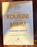 Economia crizelor Curs-fulger despre viitorul finantelor/ N. Roubini, St. Mihm