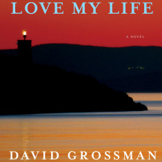 More Than I Love My Life | David Grossman