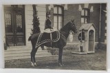 M.S. REGINA MARIA , IN UNIFORMA , PE CAL , LANGA O CLADIRE PAZITA DE MILITARI , FOTO. N. BUZDUGAN , CARTE POSTALA , INTERBELICA