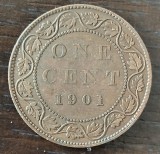 Moneda Canada - 1 Cent 1901