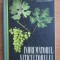 Gherasim Constantinescu - Indrumatorul viticultorului