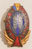 INSIGNA FRUNTAS IN AGRICULTURA ( CITITI DESCRIEREA )