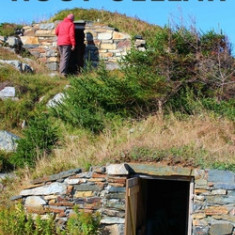 Root Cellar: How to Start Your Root Cellar and Have the Freshest and Most Delicious Vegetables (Discover Diy Hacks and Strategies o