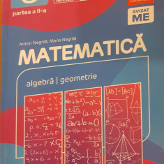 Matematica Algebra / Geometrie Clasa a VIII-a partea a II-a