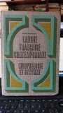 Langue francaise contemporaine. Morphologie et syntaxe - Alfred Jeanrenaud