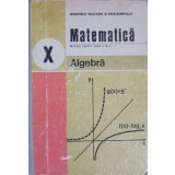 MATEMATICA. MANUAL PENTRU CLASA A X-A. ALGEBRA-C. NASTASESCU, C. NITA-349194