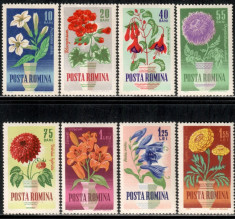 ROMANIA 1964 FLORI DE GRADINA Serie 8 timbre LP.581 MNH** foto