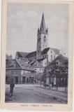 CP SIBIU Hermannstadt strada Sag ND(1917), Circulata, Fotografie