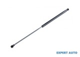 Amortizor haion Renault Laguna II (2001-&gt;)[BG0/1_,KG0/1_] #1