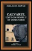 Calvarul unui om simplu in comunism - Szilagyi Arpad - Carte