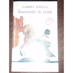 INSEMNARI DE TAINA - GABRIEL TEPELEA foto