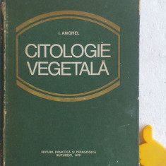 Citologie vegetala Ion Anghel