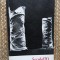 REVISTA SECOLUL 20 (numarul 7-8-9, anul 1985)