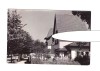 CP Campina - Vedere, RPR, circulata 1955, stare foarte buna, Printata
