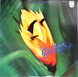 Cumpara ieftin Vinil &quot;Japan Press&quot; Paul Mauriat &ndash; Feelings (VG+), Pop