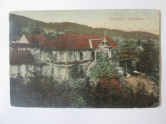 Govora-Vila Hortensiea,carte postala circulata 1915 foto