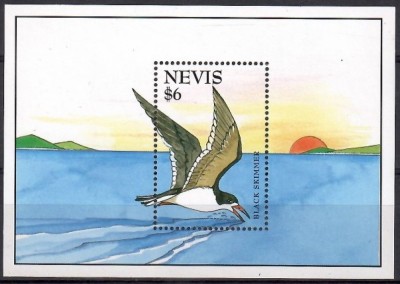 NEVIS 1995 FAUNA PASARI foto