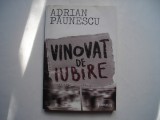 Vinovat de iubire - Adrian Paunescu