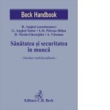 Sanatatea si securitatea in munca. Abordare multidisciplinara - Georgiana Anghel-Tudor, Ionela-Diana Patrasc-Balan