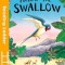 Follow the Swallow: Level 2