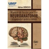 Manual de lucrari practice NEUROANATOMIE si Topografia Capului si Gatului