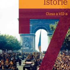 Istorie - Clasa 7 - Manual - Maria Ochescu
