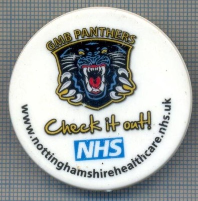 AX 642 INSIGNA- GMB PANTHERS -PANTERELE DIN NOTTINGHAM -CLUB BRITANIC DE HOCHEI foto