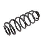 Arc suspensie Ford Fiesta 6 (Cb1, Ccn), 06.08-, Fiesta 6 Van, 08.08-, 1.0, 1.0 Ecoboost, 1.0 Sport, 1.25, 1.6 TDCi, Punte Spate, RapidAuto